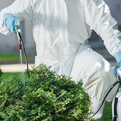 Attrezzatura per giardinaggio a Roma - Enotecnoagri - Articoli giardinaggio